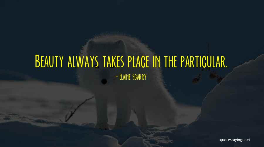Versatilidad Definicion Quotes By Elaine Scarry Versatilidad Definicion Quotes By Elaine Scarry