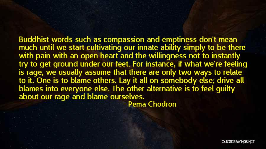 Verschil Tussen Quotes By Pema Chodron Verschil Tussen Quotes By Pema Chodron