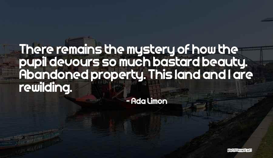 Verschimmelt Yiddish Quotes By Ada Limon Verschimmelt Yiddish Quotes By Ada Limon
