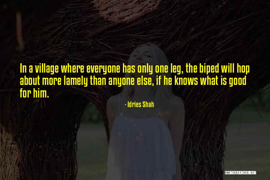 Verseau Quotes By Idries Shah Verseau Quotes By Idries Shah