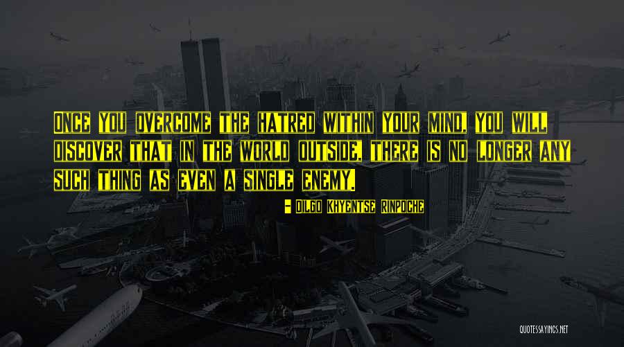 Versehen Fehlschluss Quotes By Dilgo Khyentse Rinpoche Versehen Fehlschluss Quotes By Dilgo Khyentse Rinpoche