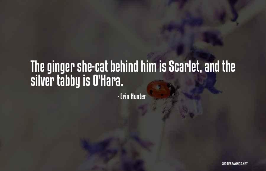 Verselemz Sek Quotes By Erin Hunter Verselemz Sek Quotes By Erin Hunter