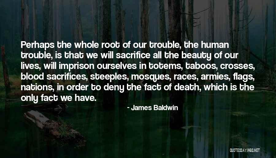 Versene And Sequestrene Quotes By James Baldwin Versene And Sequestrene Quotes By James Baldwin