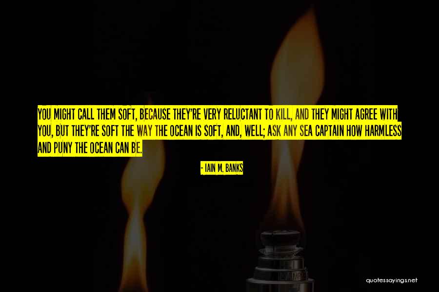 Versioning Systems Quotes By Iain M. Banks Versioning Systems Quotes By Iain M. Banks