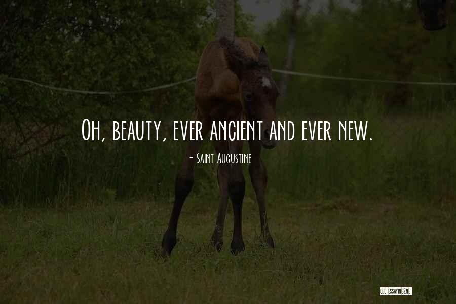 Verstandig Afvallen Quotes By Saint Augustine Verstandig Afvallen Quotes By Saint Augustine