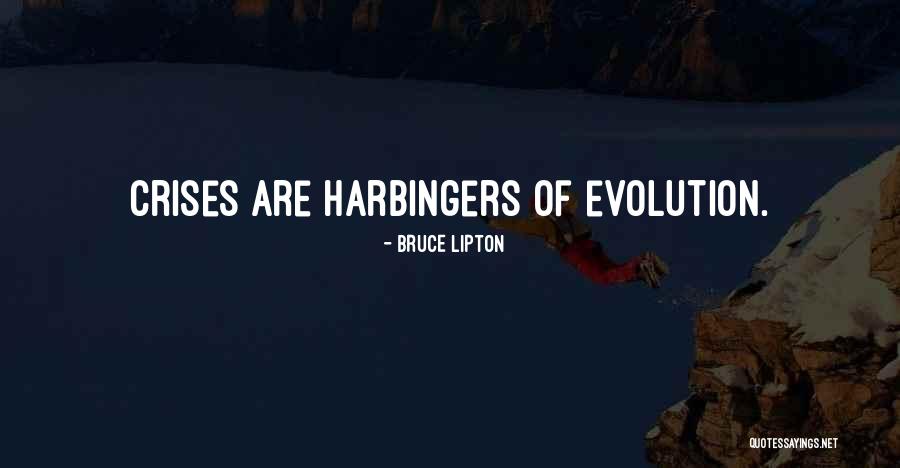 Versteeg Michael Quotes By Bruce Lipton Versteeg Michael Quotes By Bruce Lipton
