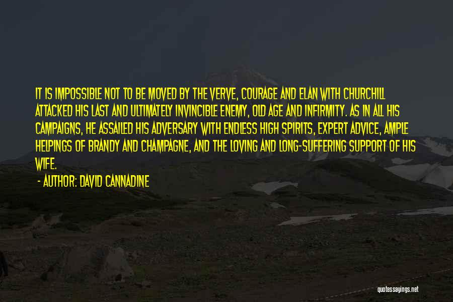 Verve Quotes By David Cannadine