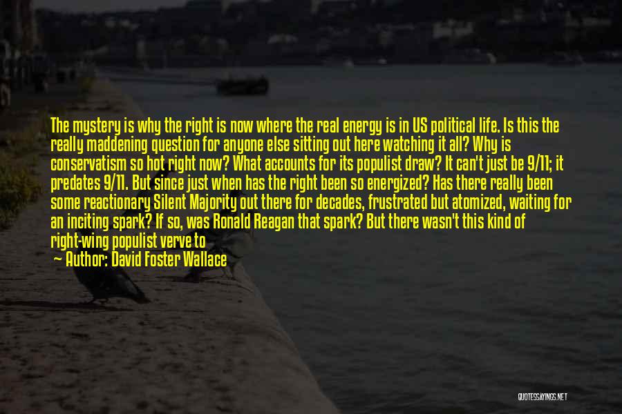 Verve Quotes By David Foster Wallace