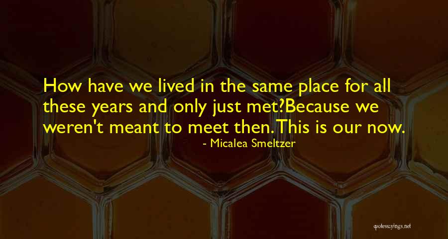 Vervoort In Forest Quotes By Micalea Smeltzer Vervoort In Forest Quotes By Micalea Smeltzer