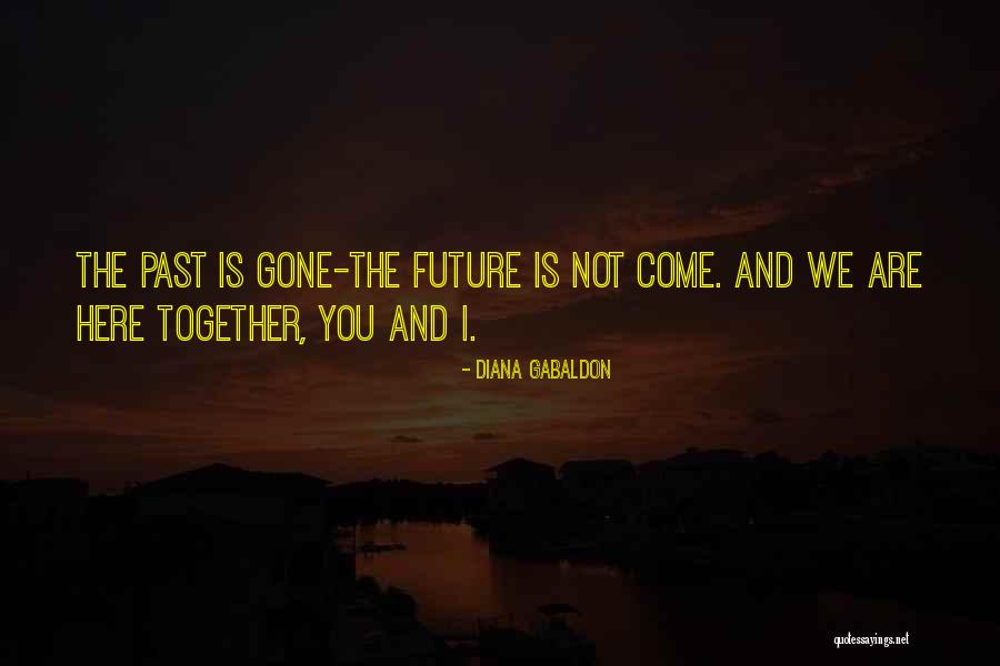 Vervuiling Wikipedia Quotes By Diana Gabaldon