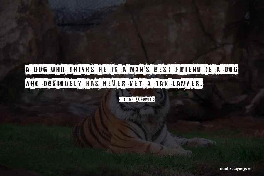 Verwaarlozen Vervoegen Quotes By Fran Lebowitz Verwaarlozen Vervoegen Quotes By Fran Lebowitz