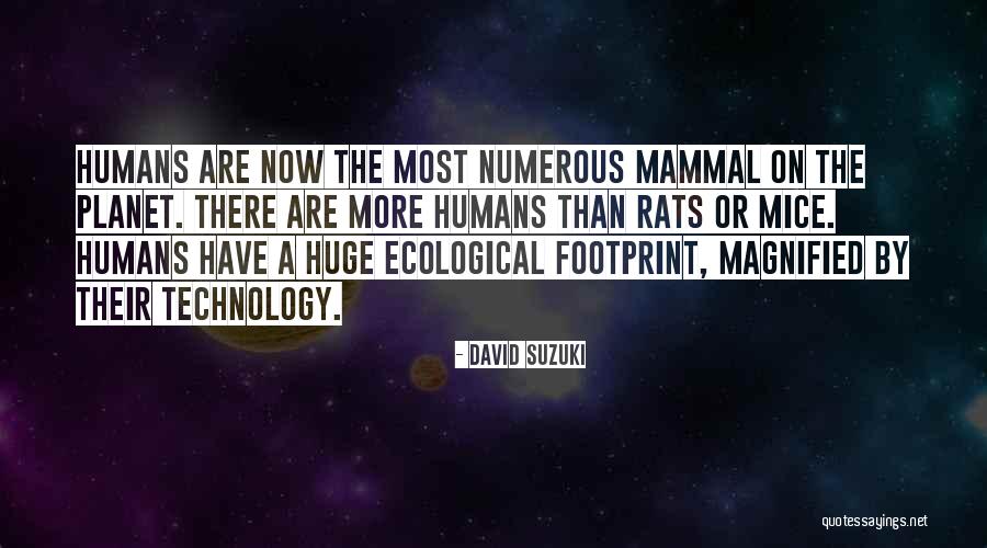 Verwachtingen Engels Quotes By David Suzuki Verwachtingen Engels Quotes By David Suzuki