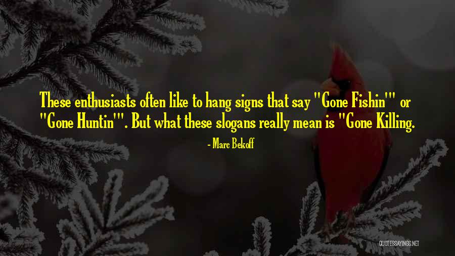 Verwesung Mensch Quotes By Marc Bekoff Verwesung Mensch Quotes By Marc Bekoff