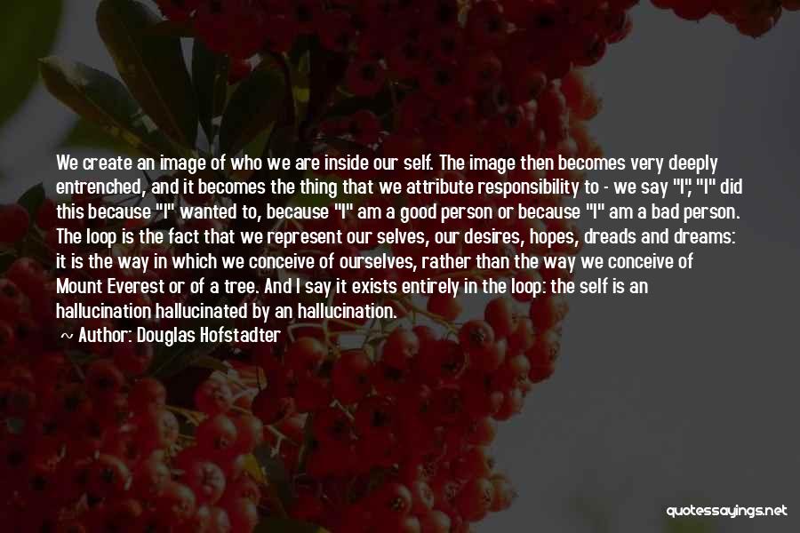 Very Bad Person Quotes By Douglas Hofstadter