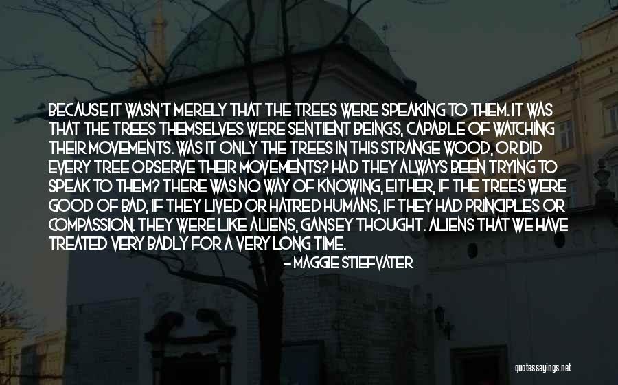 Very Bad Time Quotes By Maggie Stiefvater Very Bad Time Quotes By Maggie Stiefvater