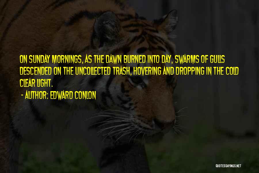 Very Cold Morning Quotes By Edward Conlon