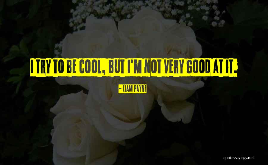 Very Cool Quotes By Liam Payne Very Cool Quotes By Liam Payne
