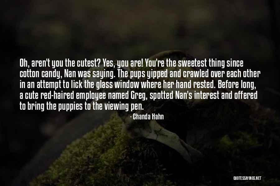 Very Cute Long Quotes By Chanda Hahn Very Cute Long Quotes By Chanda Hahn