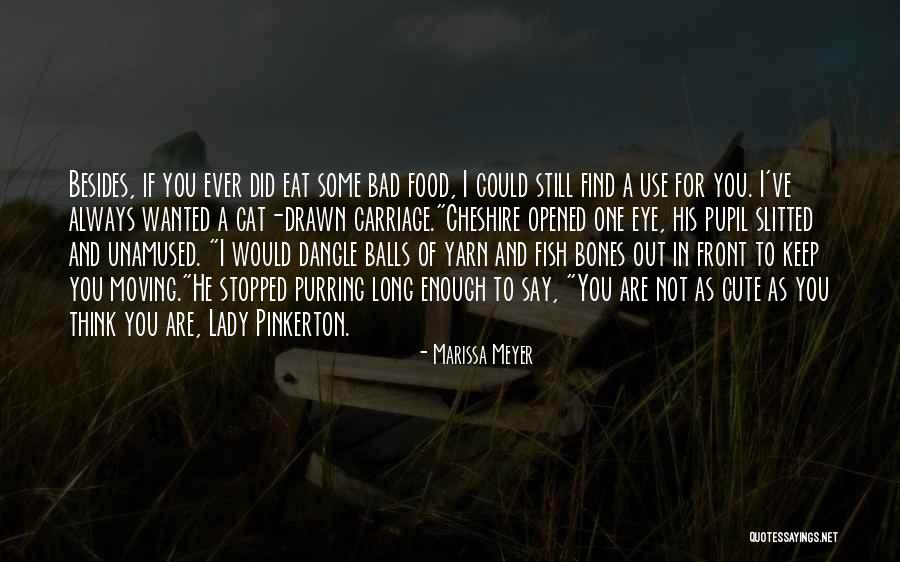Very Cute Long Quotes By Marissa Meyer Very Cute Long Quotes By Marissa Meyer