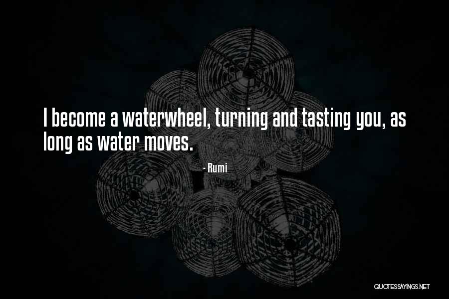 Very Cute Long Quotes By Rumi