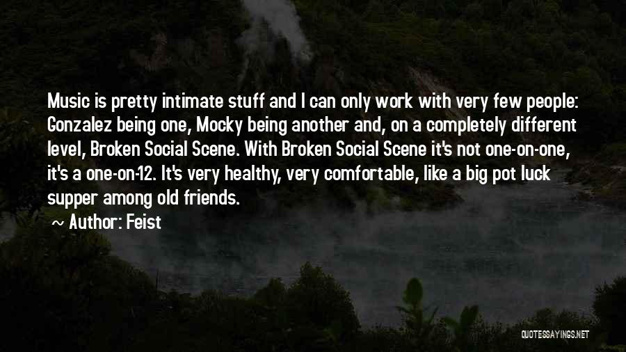 Very Few Friends Quotes By Feist