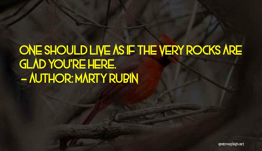 Very Glad Quotes By Marty Rubin