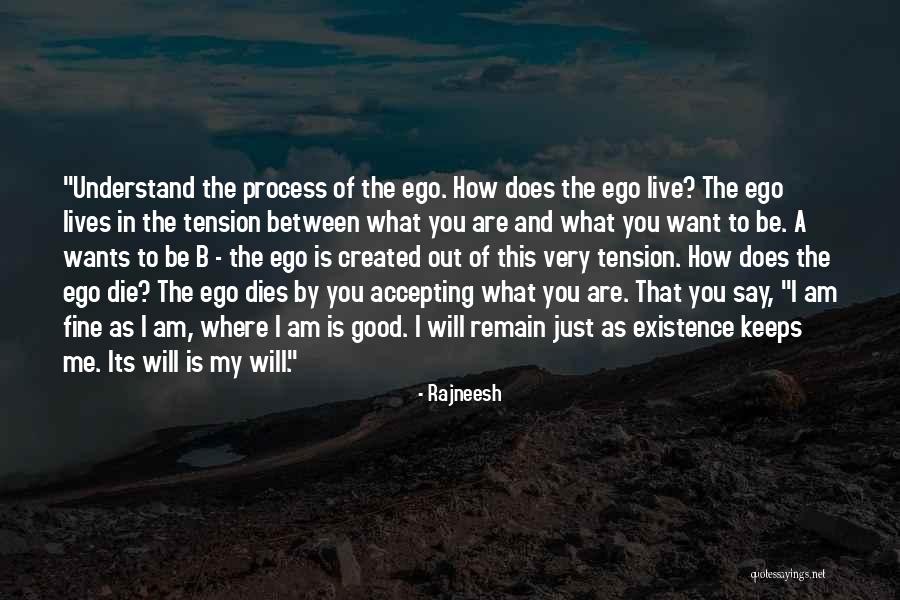 Very Good Lives Quotes By Rajneesh Very Good Lives Quotes By Rajneesh