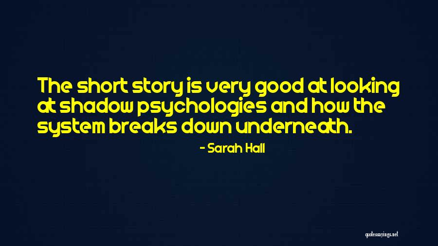 Very Good Looking Quotes By Sarah Hall Very Good Looking Quotes By Sarah Hall