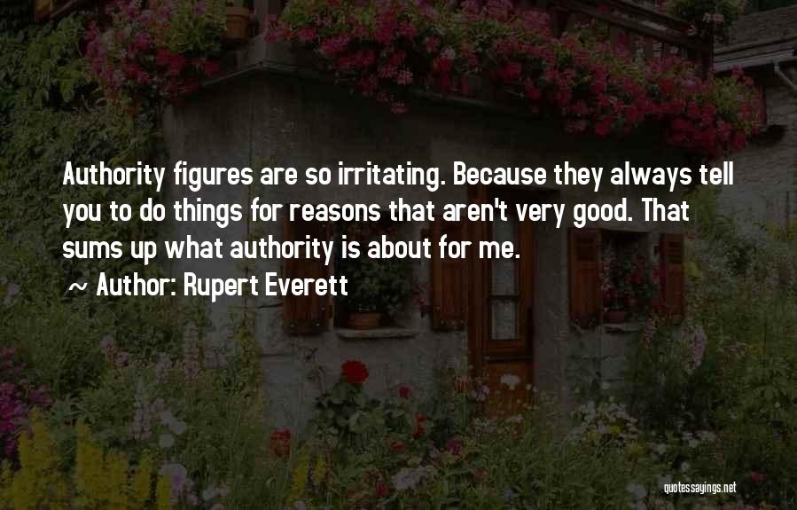 Very Irritating Quotes By Rupert Everett