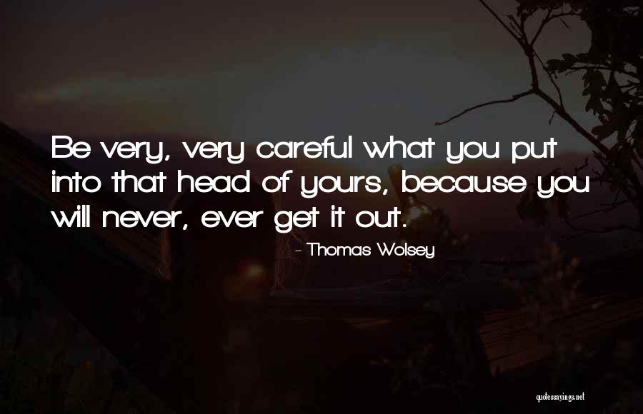 Very Motivational Quotes By Thomas Wolsey