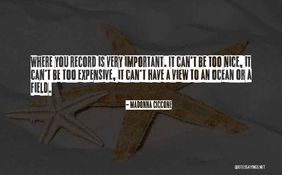 Very Nice Quotes By Madonna Ciccone