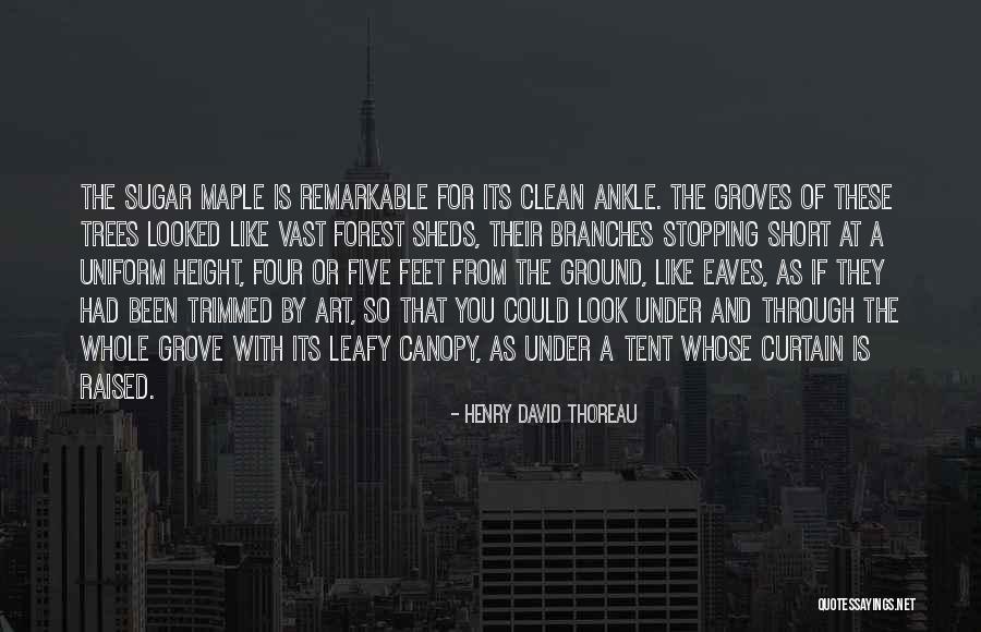 Very Short Art Quotes By Henry David Thoreau Very Short Art Quotes By Henry David Thoreau
