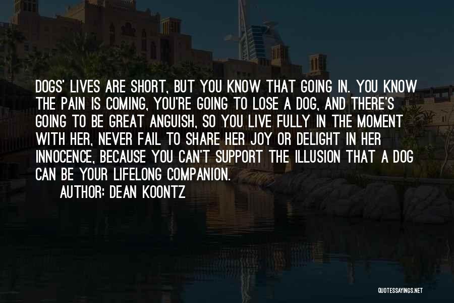 Very Short Dog Quotes By Dean Koontz
