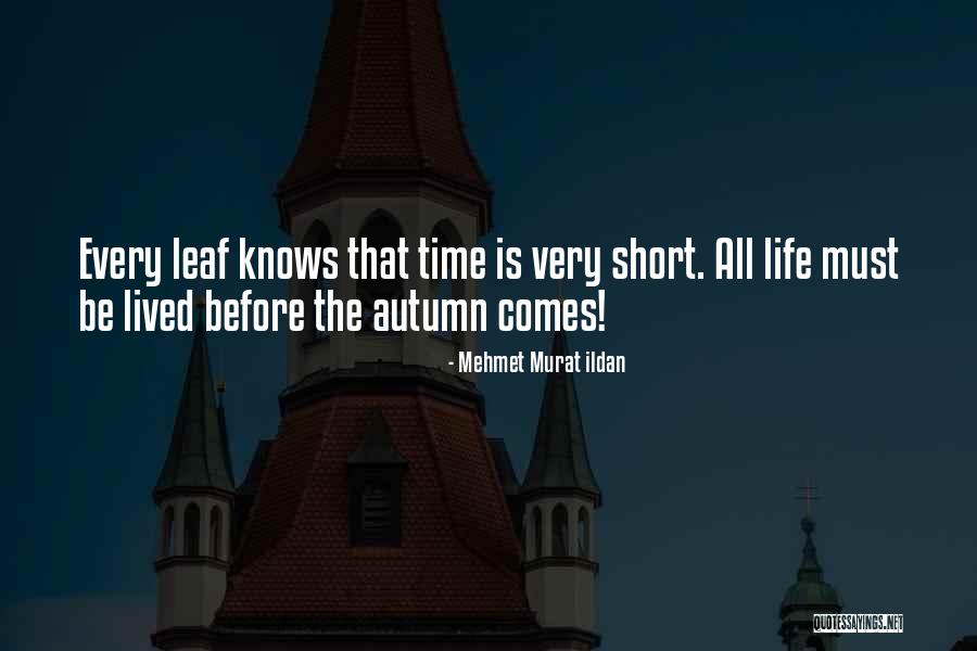 Very Short Life Quotes By Mehmet Murat Ildan Very Short Life Quotes By Mehmet Murat Ildan