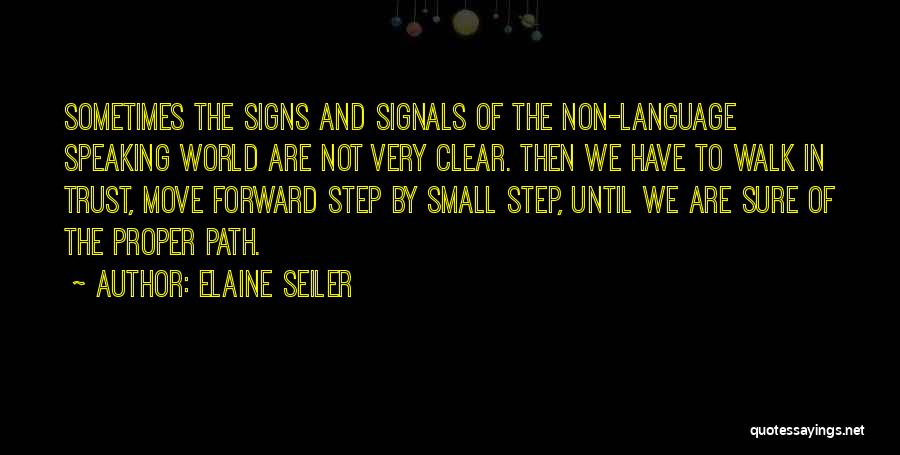 Very Small Inspirational Quotes By Elaine Seiler