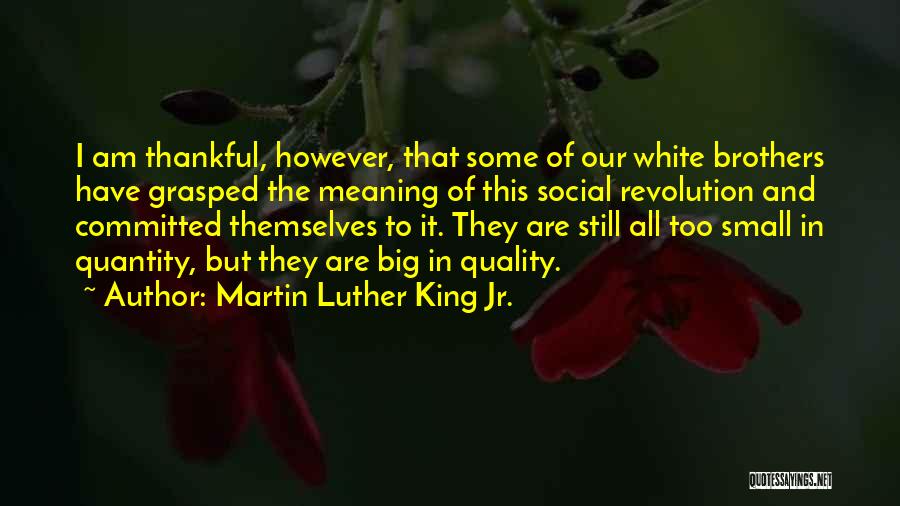 Very Small Inspirational Quotes By Martin Luther King Jr.