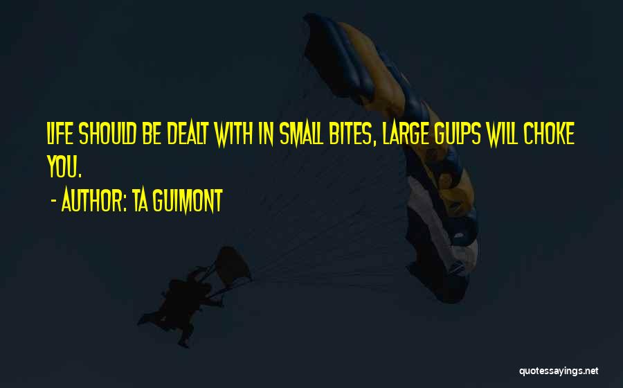 Very Small Inspirational Quotes By TA Guimont