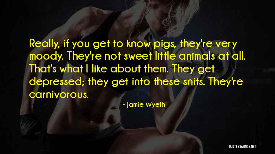 Very Sweet Quotes By Jamie Wyeth Very Sweet Quotes By Jamie Wyeth