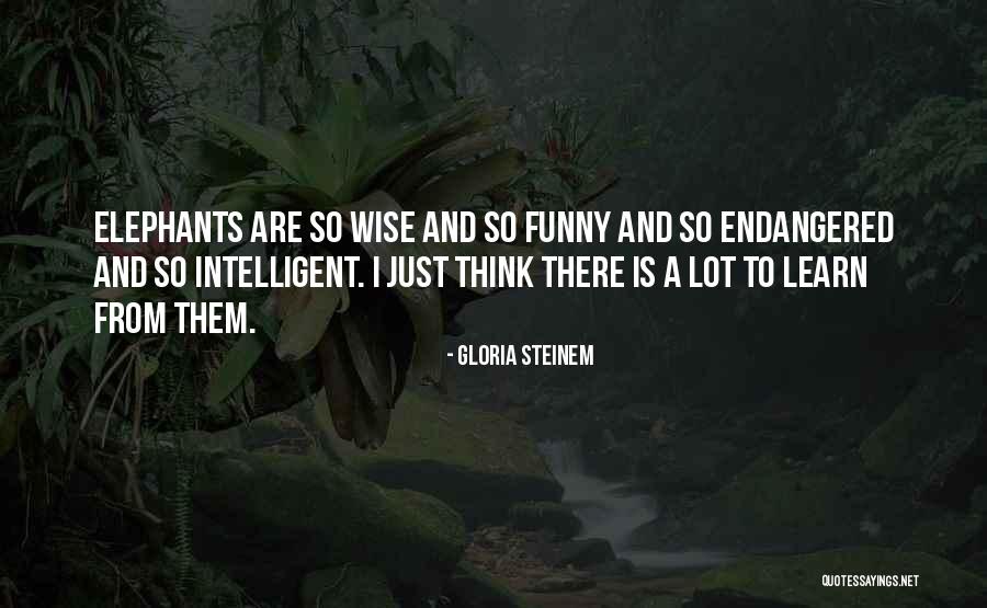 Very Wise And Funny Quotes By Gloria Steinem Very Wise And Funny Quotes By Gloria Steinem