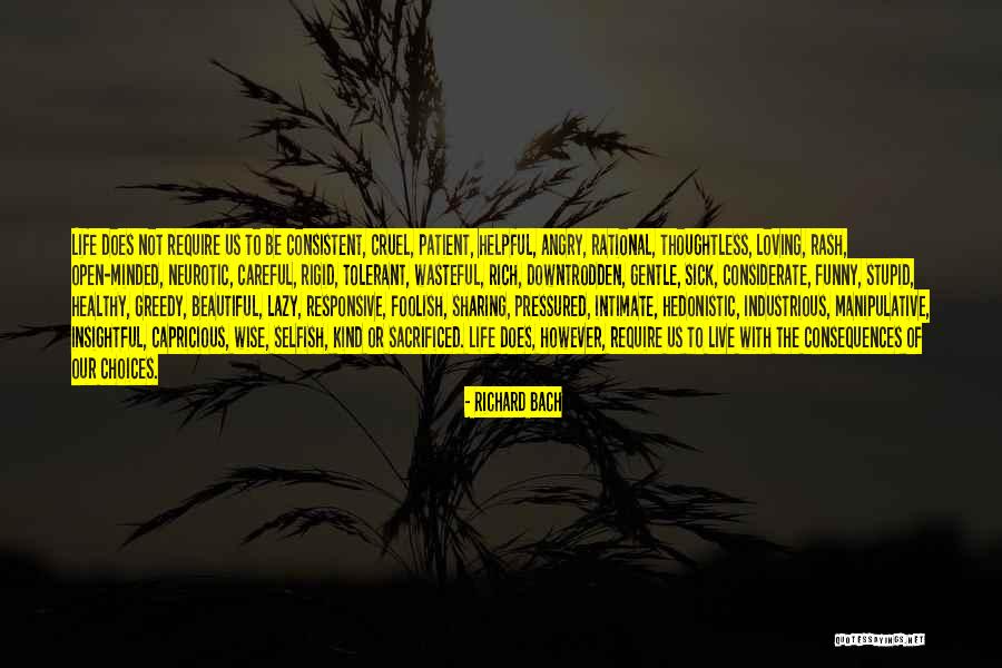 Very Wise And Funny Quotes By Richard Bach Very Wise And Funny Quotes By Richard Bach