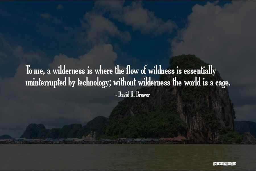 Verzameling R Quotes By David R. Brower Verzameling R Quotes By David R. Brower