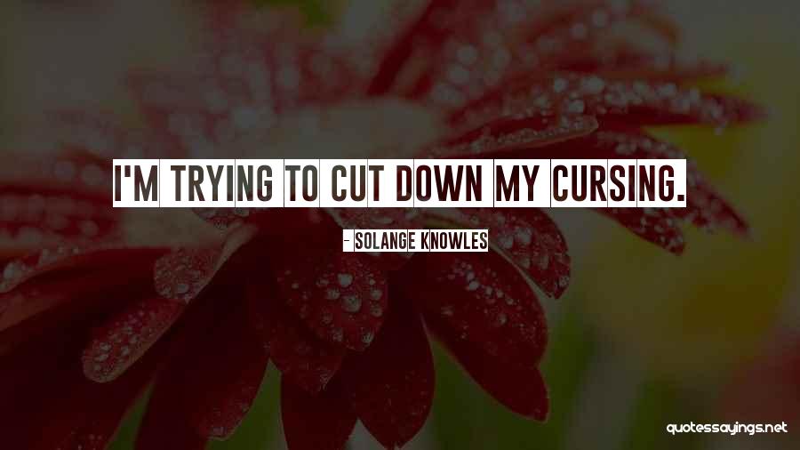 Verzekerde Quotes By Solange Knowles Verzekerde Quotes By Solange Knowles