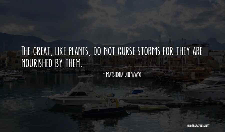 Veselica Chicago Quotes By Matshona Dhliwayo Veselica Chicago Quotes By Matshona Dhliwayo