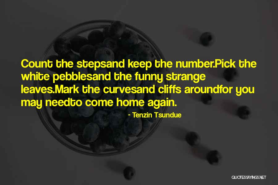 Veselie Zadaniya Quotes By Tenzin Tsundue