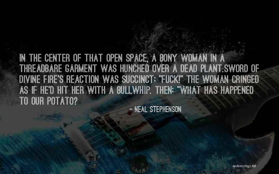 Vesnice Definice Quotes By Neal Stephenson Vesnice Definice Quotes By Neal Stephenson