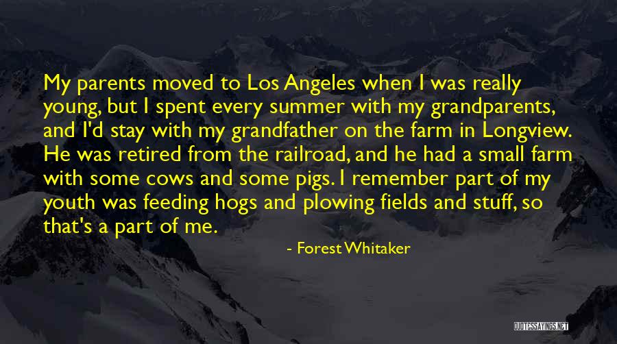 Vespasiano Wikipedia Quotes By Forest Whitaker Vespasiano Wikipedia Quotes By Forest Whitaker