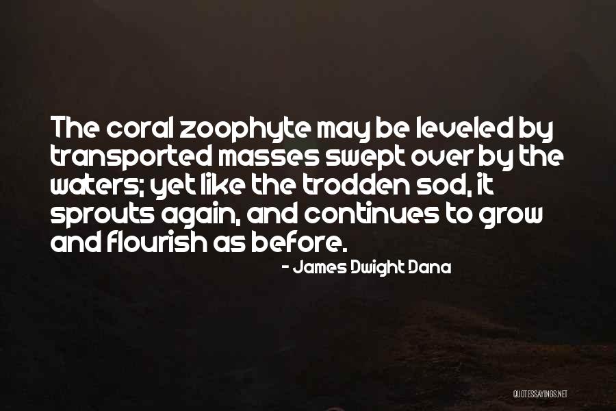 Vespertina Definicion Quotes By James Dwight Dana Vespertina Definicion Quotes By James Dwight Dana