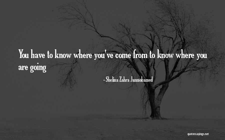 Vespucci Route Quotes By Shelina Zahra Janmohamed Vespucci Route Quotes By Shelina Zahra Janmohamed