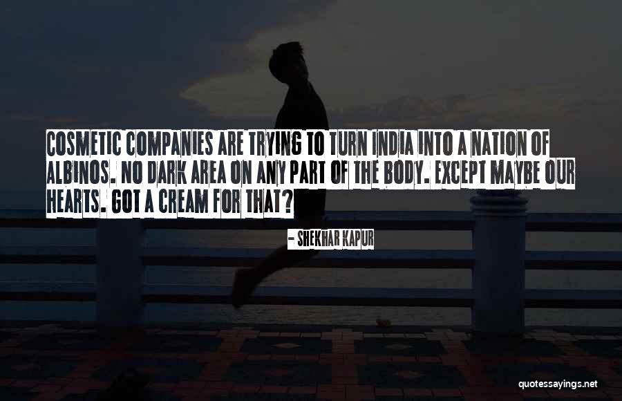 Vestergaard Company Quotes By Shekhar Kapur Vestergaard Company Quotes By Shekhar Kapur