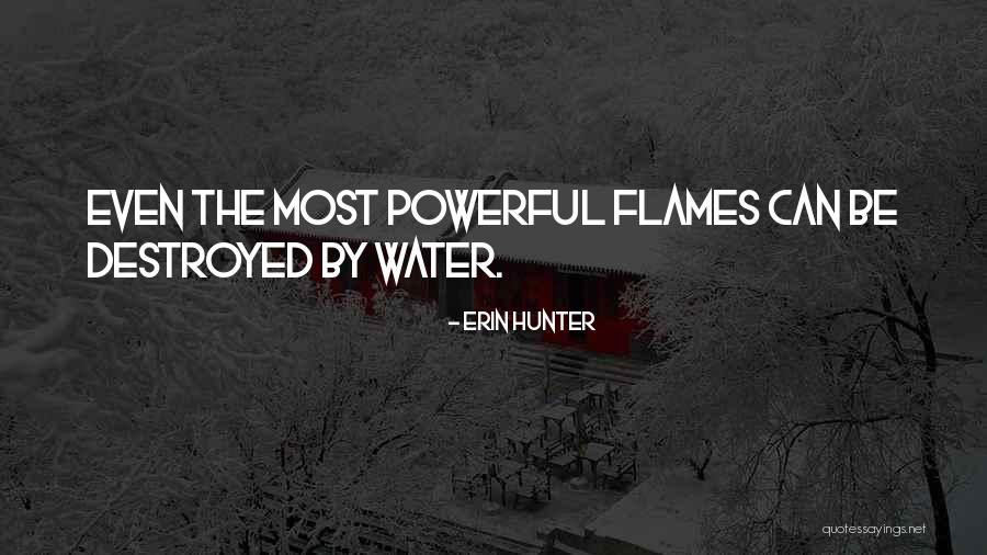 Vestergaard Soccer Quotes By Erin Hunter Vestergaard Soccer Quotes By Erin Hunter